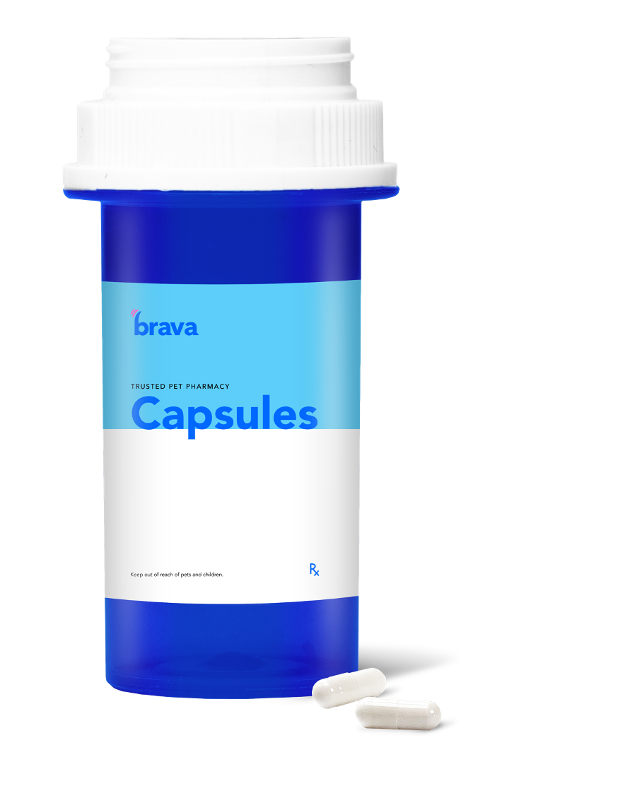 Theophylline 100mg Capsule